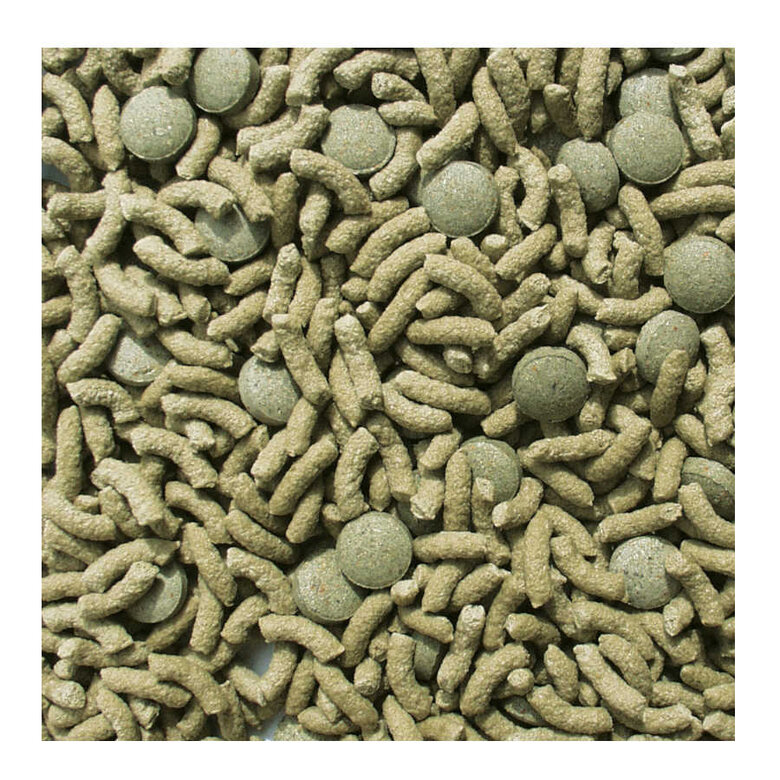 Sera Raffy Vital Comida para reptis herbívoros, , large image number null