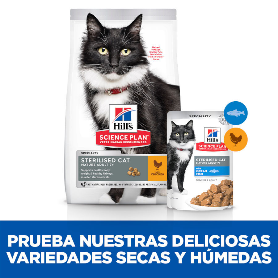 48 saquetas x 85 g Hill's Science Plan Sterilised Mature Peixe Oce&aacute;nico saqueta de molho para gatos Pack poupan&ccedil;a!, , large Imagem n&uacute;mero 5
