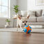 All For Paws Meta Ball  X Bola de ressalto Brinquedo para c&atilde;es, , large Indicador imagem n&uacute;mero 1
