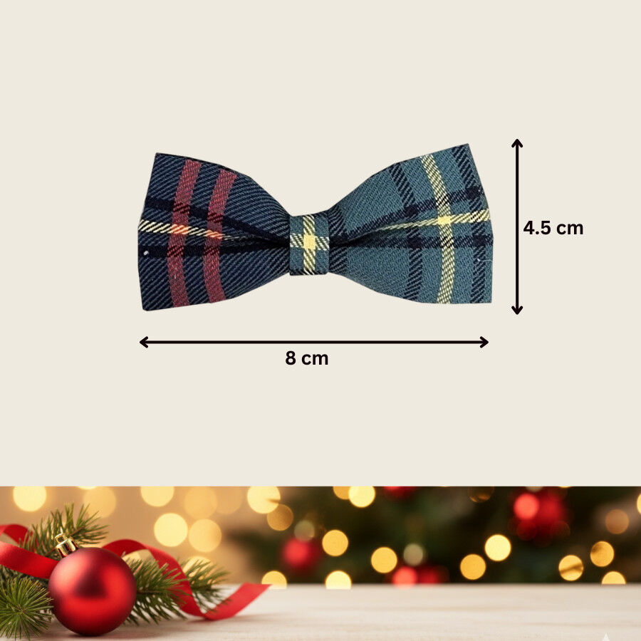 Wonder Christmas La&ccedil;o natal&iacute;cio azul para C&atilde;es, , large Imagem n&uacute;mero 4