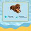 Summer Vibes Pawperol Spritz Peluche para c&atilde;es, , large Indicador imagem n&uacute;mero 3