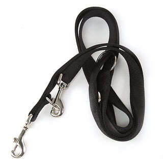 Nayeco Basic Trela de Treino para cães