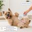 Bloob Escova de pinos e cerdas para c&atilde;es, , large Indicador imagem n&uacute;mero 8