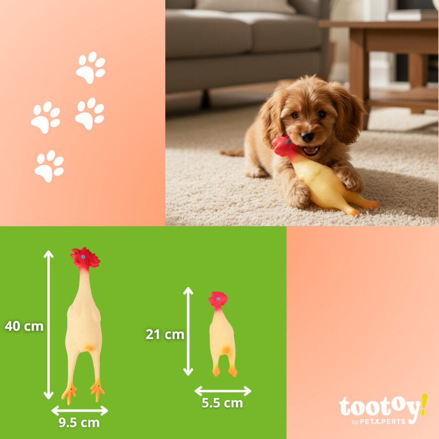 Tootoy! Chew Brinquedo galinha de quinta para c&atilde;es, , large Imagem n&uacute;mero 5