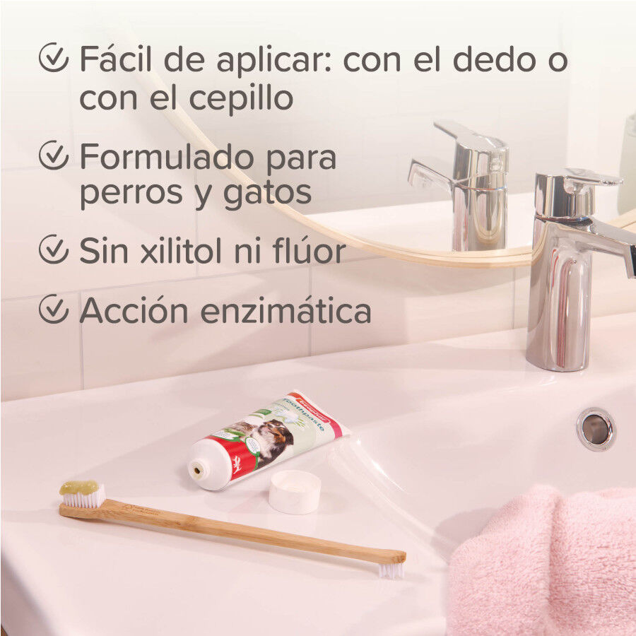 Beaphar Creme dental com hortel&atilde; e salsa para c&atilde;es e gatos, , large Imagem n&uacute;mero 6