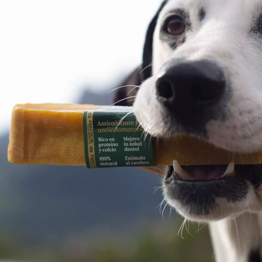 1 stick Wild Yaky Barra Mastigadora com Curcuma para c&atilde;es, , large Imagem n&uacute;mero 2