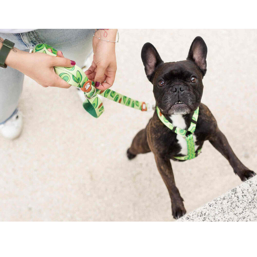 Dukier Avocado Cl&aacute;ssico Peitoral com Estampado de Abacate para c&atilde;es , , large Imagem n&uacute;mero 3