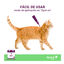 Vectra Felis Pipetas Antiparasitárias para gatos - Pack 3, , large Indicador imagem número 6