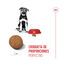 15 kg Royal Canin Puppy Maxi ra&ccedil;&atilde;o para c&atilde;es, , large Indicador imagem n&uacute;mero 5