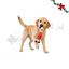 Wonder Christmas Frango L&aacute;tex Brinquedo para c&atilde;es, , large Indicador imagem n&uacute;mero 1