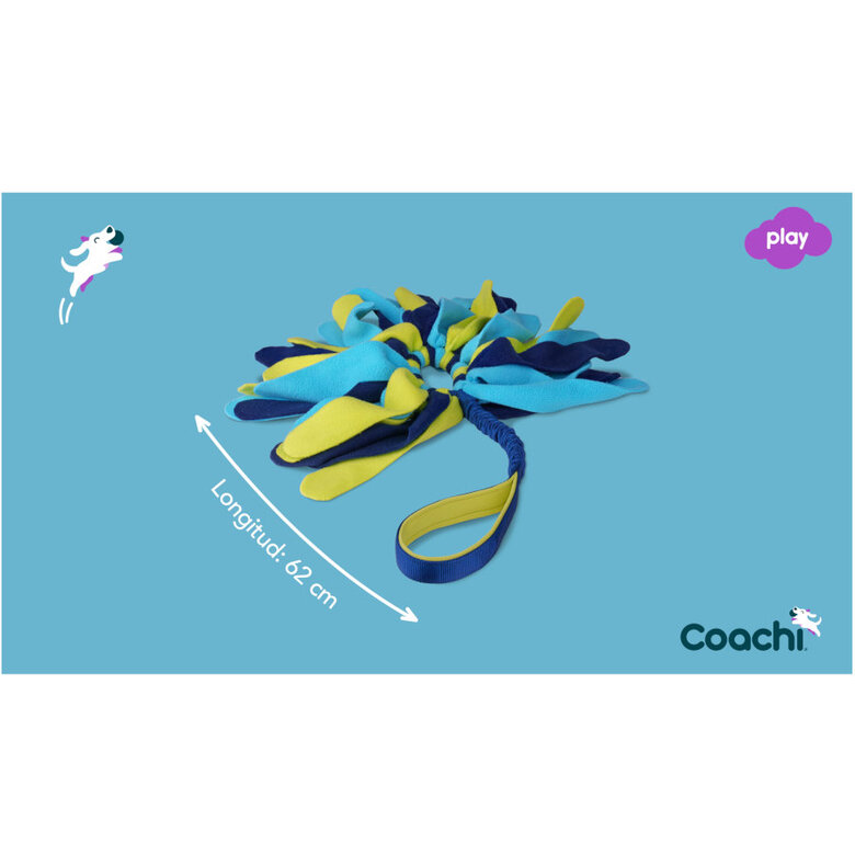 Coachi Tuggi Spider brinquedo para cães,  Imagem número 4 Coachi Tuggi Spider brinquedo para cães, , large Imagem número 4