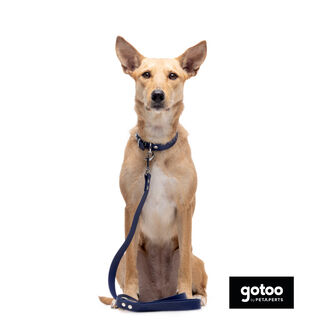 Gotoo Trela Biothane azul para cães
