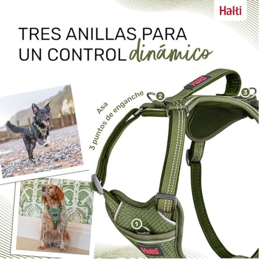 Halti Peitoral Anat&oacute;mico Verde para c&atilde;es pequenos, , large Imagem n&uacute;mero 4