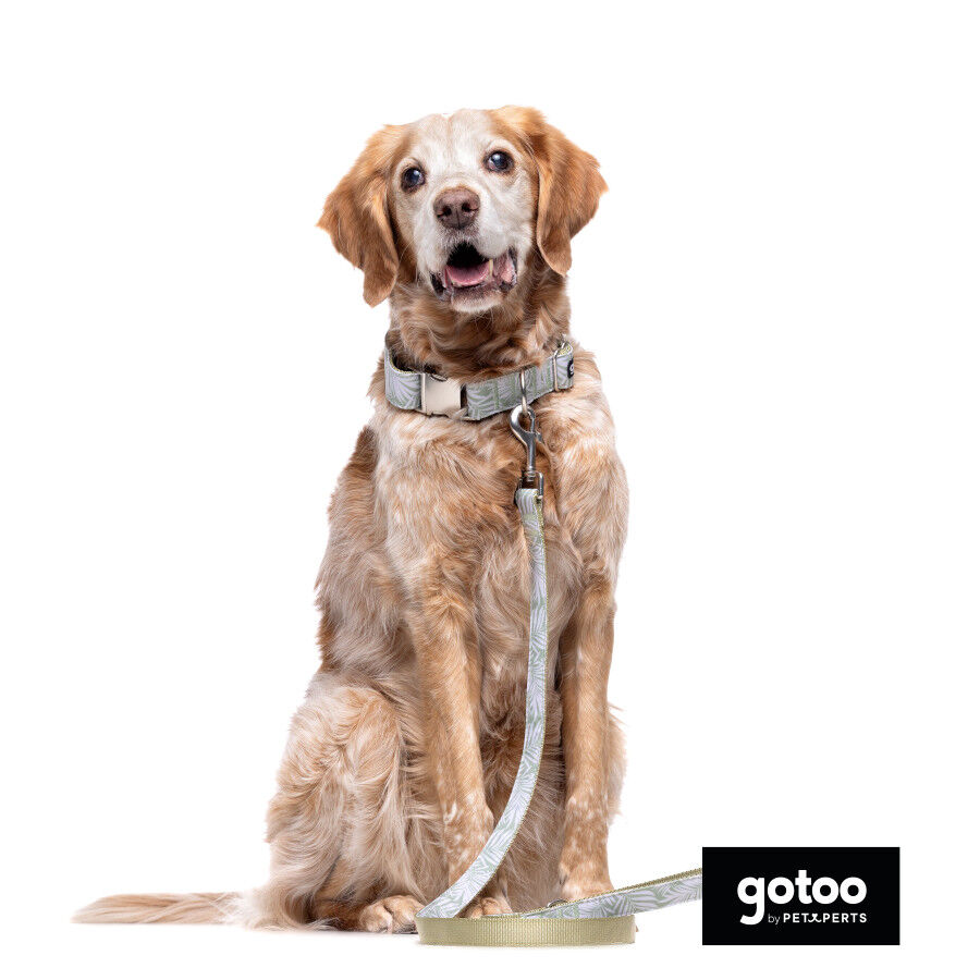 Gotoo Coleira com estampa de flores para c&atilde;es, , large Imagem n&uacute;mero 4