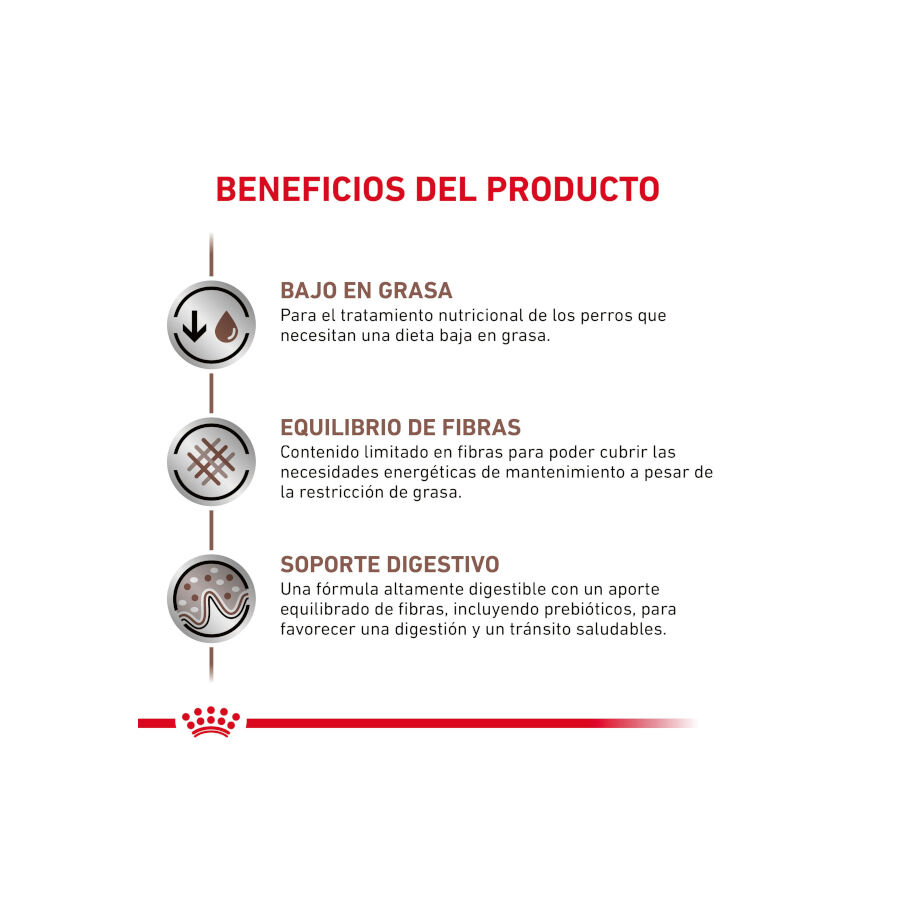 8 kg Royal Canin GastroIntestinal Low Fat Ra&ccedil;&atilde;o para c&atilde;es pequenos, , large Imagem n&uacute;mero 4