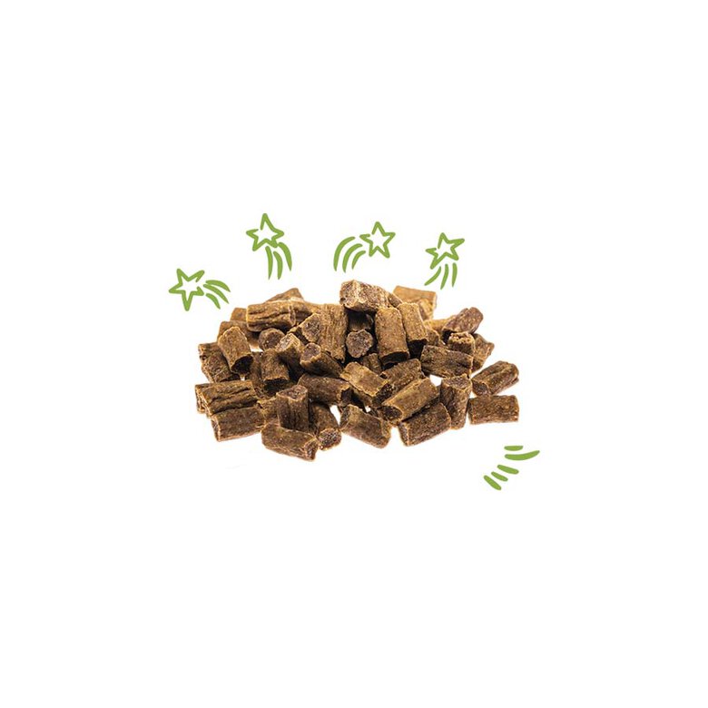 50 g Edgard y Cooper Biscoitos Cordeiro e Tigela para cães,  Imagem número 2 50 g Edgard y Cooper Biscoitos Cordeiro e Tigela para cães, , large Imagem número 2