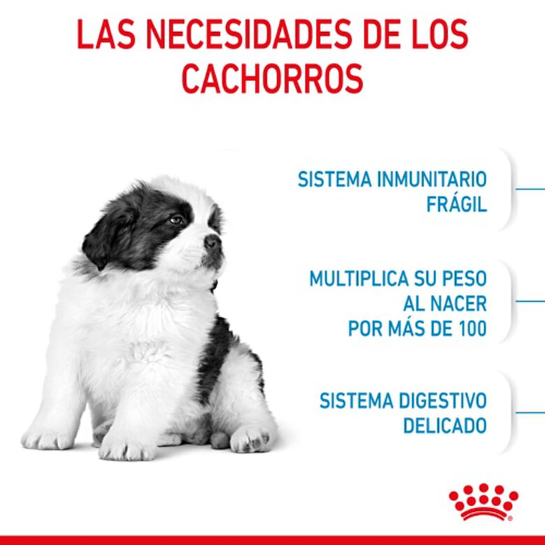 Royal Canin Puppy Giant ração para cães, , large image number null