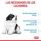 Royal Canin Puppy Giant ração para cães, , large image number null