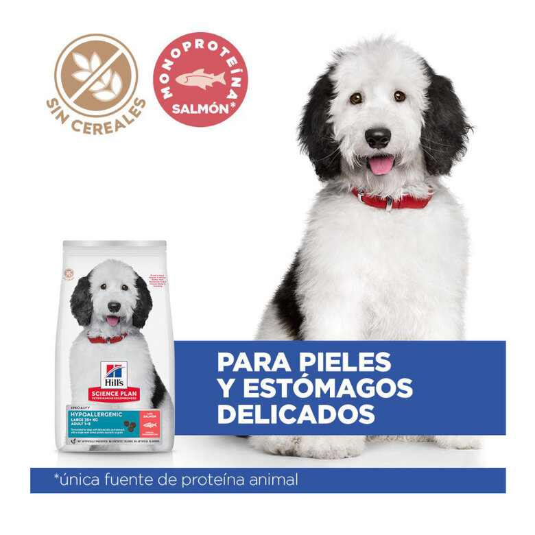 14 kg Hill's Science Plan Hipoalergénico Large Salmão ração para cães,  Imagem número 3 14 kg Hill's Science Plan Hipoalergénico Large Salmão ração para cães, , large Imagem número 3