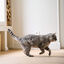 Beaphar CatComfort difusor de odor calmante e recarga para gatos, , large Indicador imagem número 4
