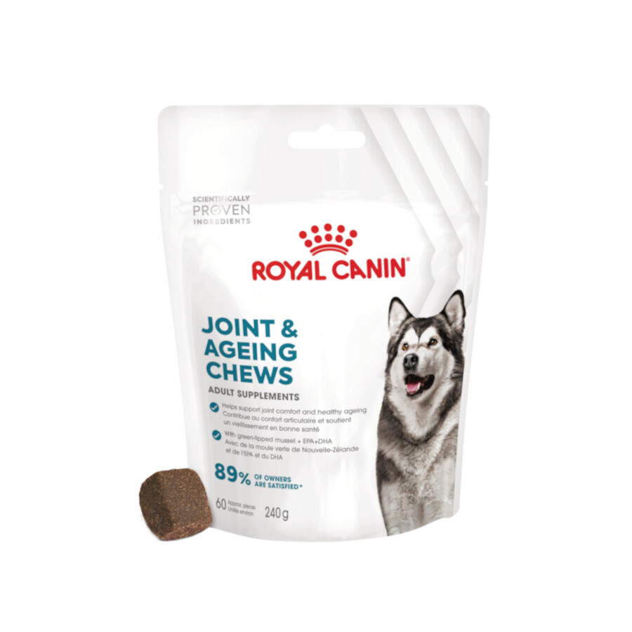 240 g Royal Canin Joint & Ageing Chews Suplemento Nutricional para c&atilde;es com sensibilidade articular, , large Imagem n&uacute;mero 1