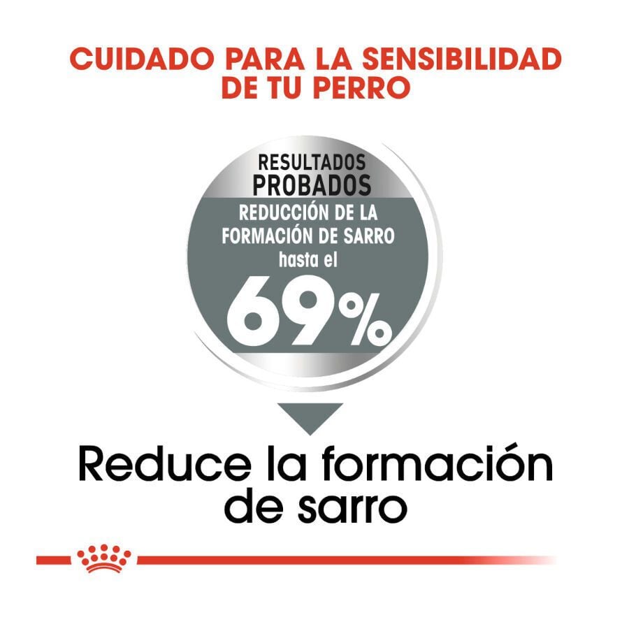 3 kg Royal Canin Mini Dental Care ra&ccedil;&atilde;o para c&atilde;es, , large Imagem n&uacute;mero 5