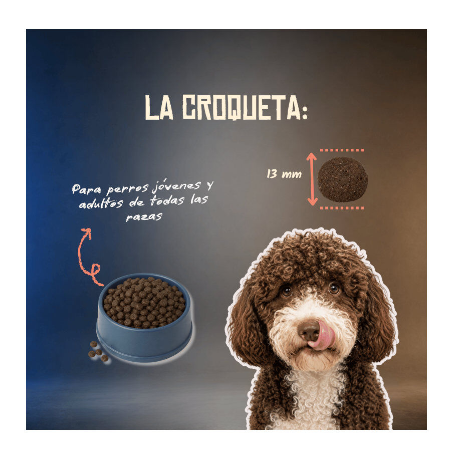 2 Kg Lenda Grain Free Ra&ccedil;&atilde;o de Salm&atilde;o para c&atilde;es, , large Imagem n&uacute;mero 4