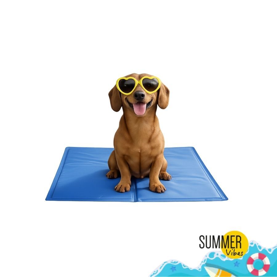 Summer Vibes Manta Refrescante Azul para c&atilde;es, , large Imagem n&uacute;mero 6