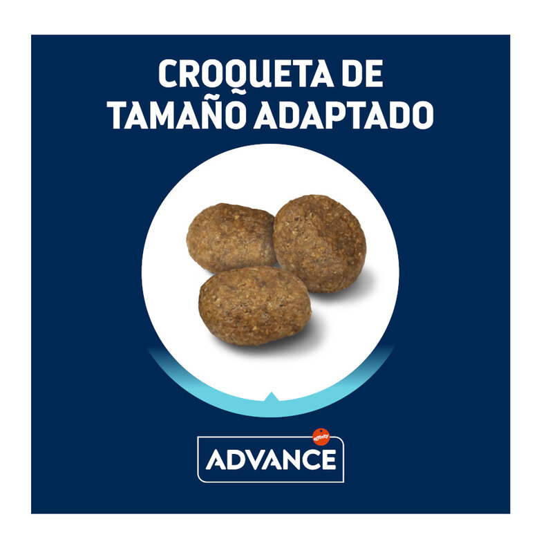 14 kg (12 + 2 kg grátis!) Advance Active Defense Medium Maxi Sensitive Salmão e Arroz ração para cães,  Imagem número 2 14 kg (12 + 2 kg grátis!) Advance Active Defense Medium Maxi Sensitive Salmão e Arroz ração para cães, , large Imagem número 2
