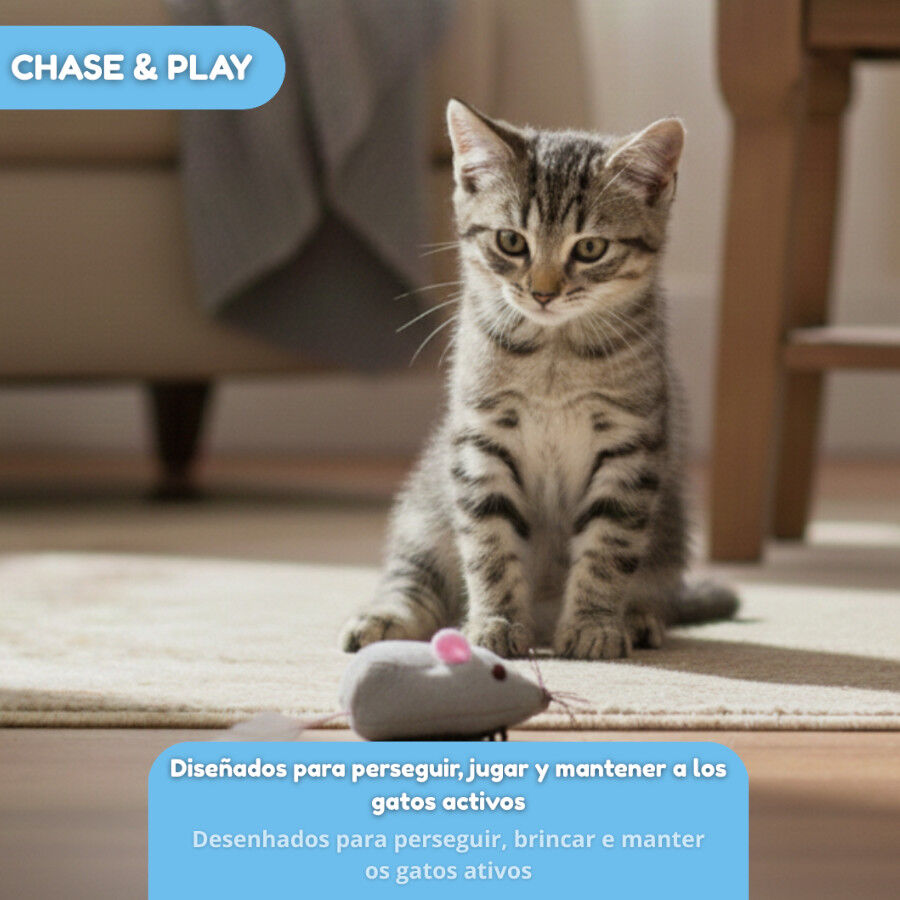 Tootoy! Chase & Play Brinquedo Rato interativo de correr para gato, , large Imagem n&uacute;mero 5