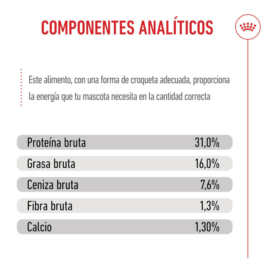 15 kg Royal Canin Junior Giant ra&ccedil;&atilde;o para c&atilde;es, , large Imagem n&uacute;mero 8