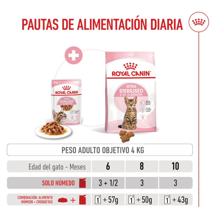 85 g Royal Canin Kitten Sterilised alimento h&uacute;mido em molho saquetas para gatos, , large Imagem n&uacute;mero 8