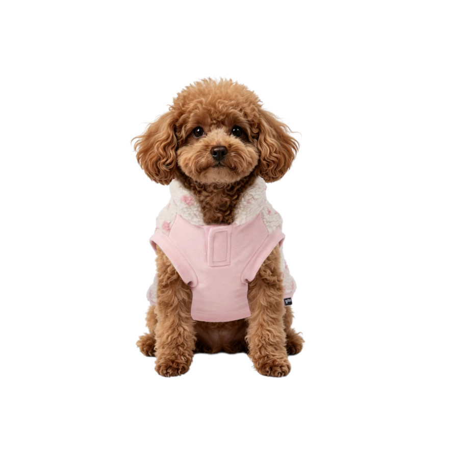 Gotoo Camisola com Padr&atilde;o de Estrelas para c&atilde;es, , large Imagem n&uacute;mero 7
