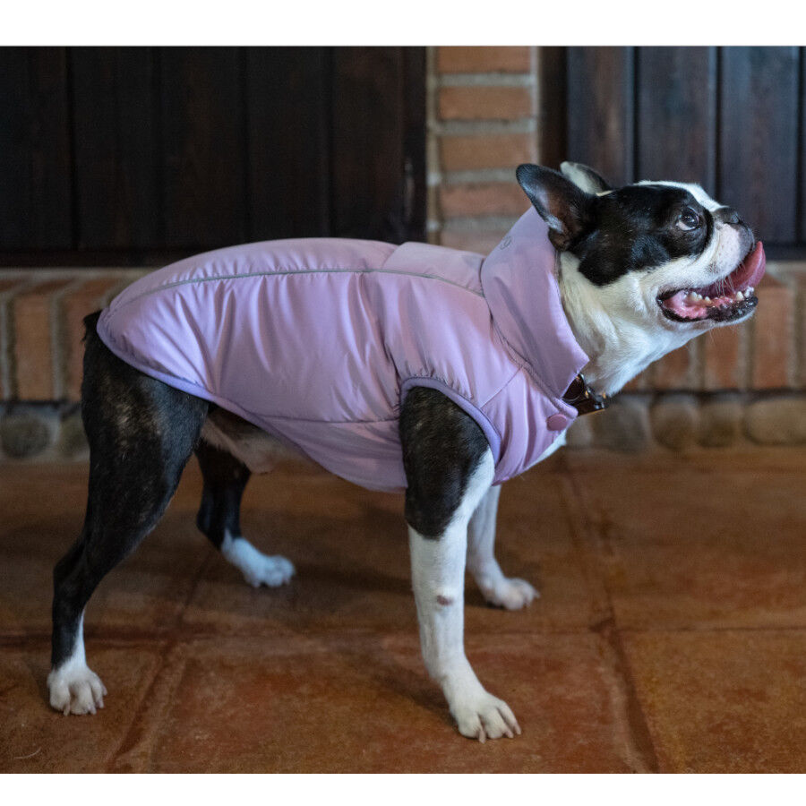 Freedog Winterhug Capa de Chuva roxa para c&atilde;es, , large Imagem n&uacute;mero 1