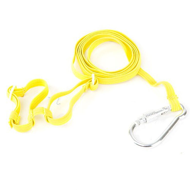 TK-Pet Trela e Peitoral Amarelo para petaurus,  Imagem número 1 TK-Pet correa y arnés para petauros kit de paseo Imagem número 1