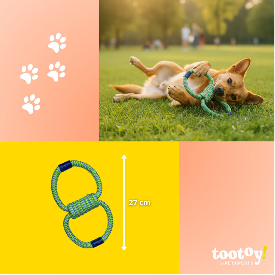 Tootoy! Pull Brinquedo de corda em oito para c&atilde;es, , large Imagem n&uacute;mero 4