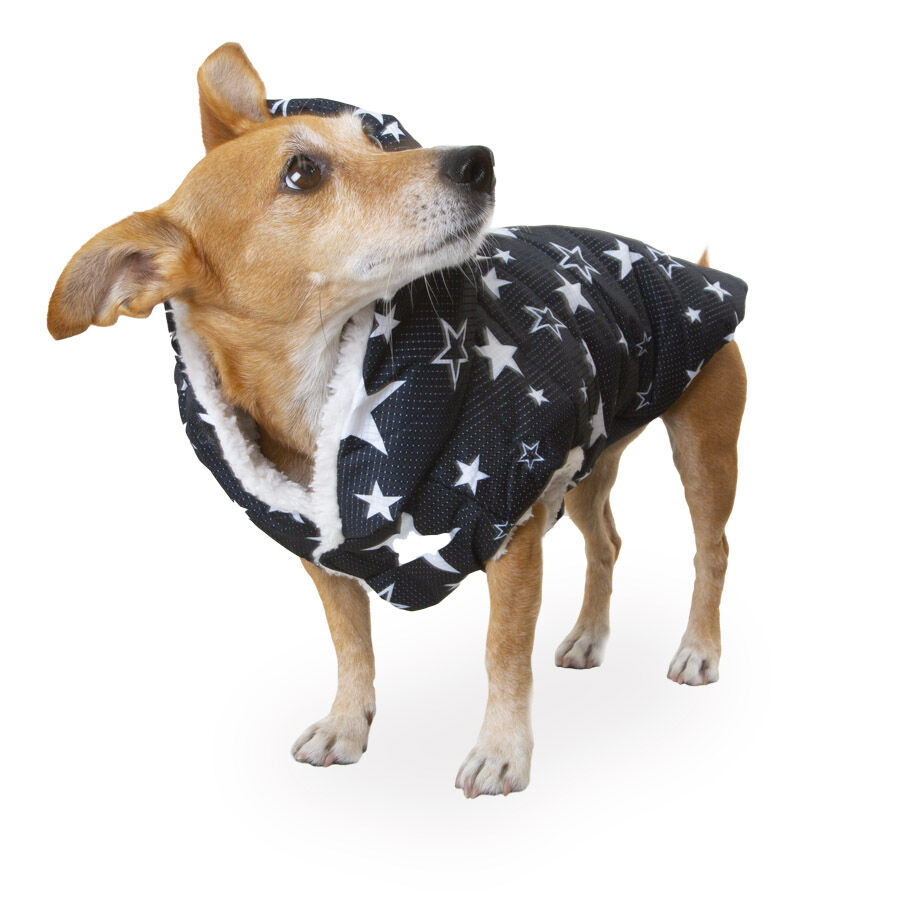 Outech Capa de Chuva Imperme&aacute;vel Com Estrelas para c&atilde;es, , large Imagem n&uacute;mero 1