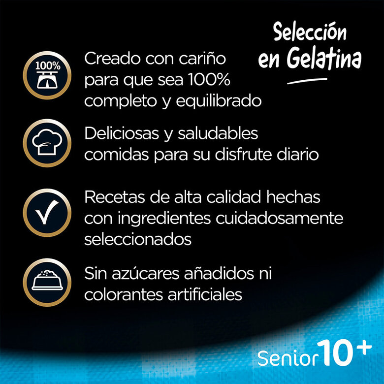 pienso_humedo_perros_cesar_pouche_senior_02_CES306102.jpg Imagem número 3 pienso_humedo_perros_cesar_pouche_senior_02_CES306102.jpg Imagem número 3