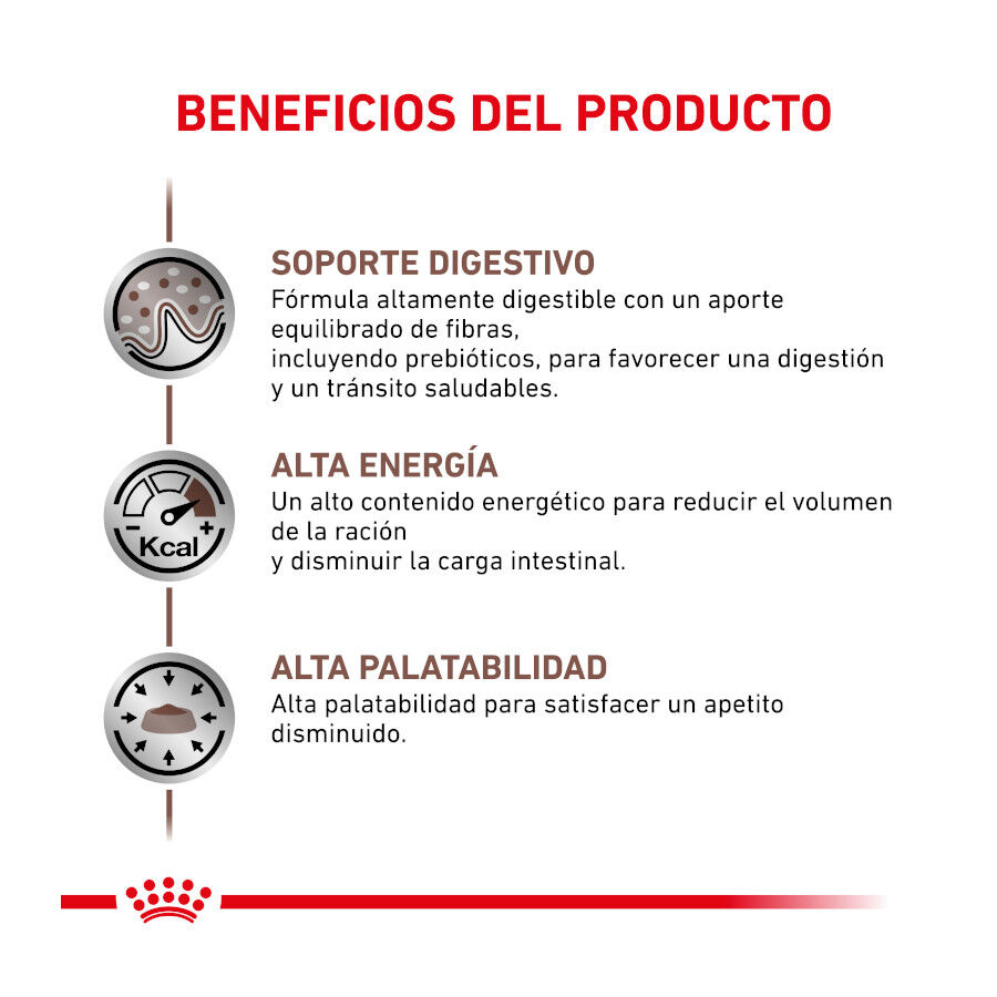 4 kg Royal Canin Veterinary Gastrointestinal ra&ccedil;&atilde;o para gatos , , large Imagem n&uacute;mero 4