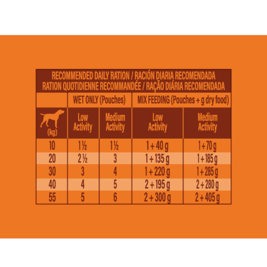 300 g Nature's Variety Medium / Maxi Adult Carne de Vaca saqueta para c&atilde;es, , large Imagem n&uacute;mero 4