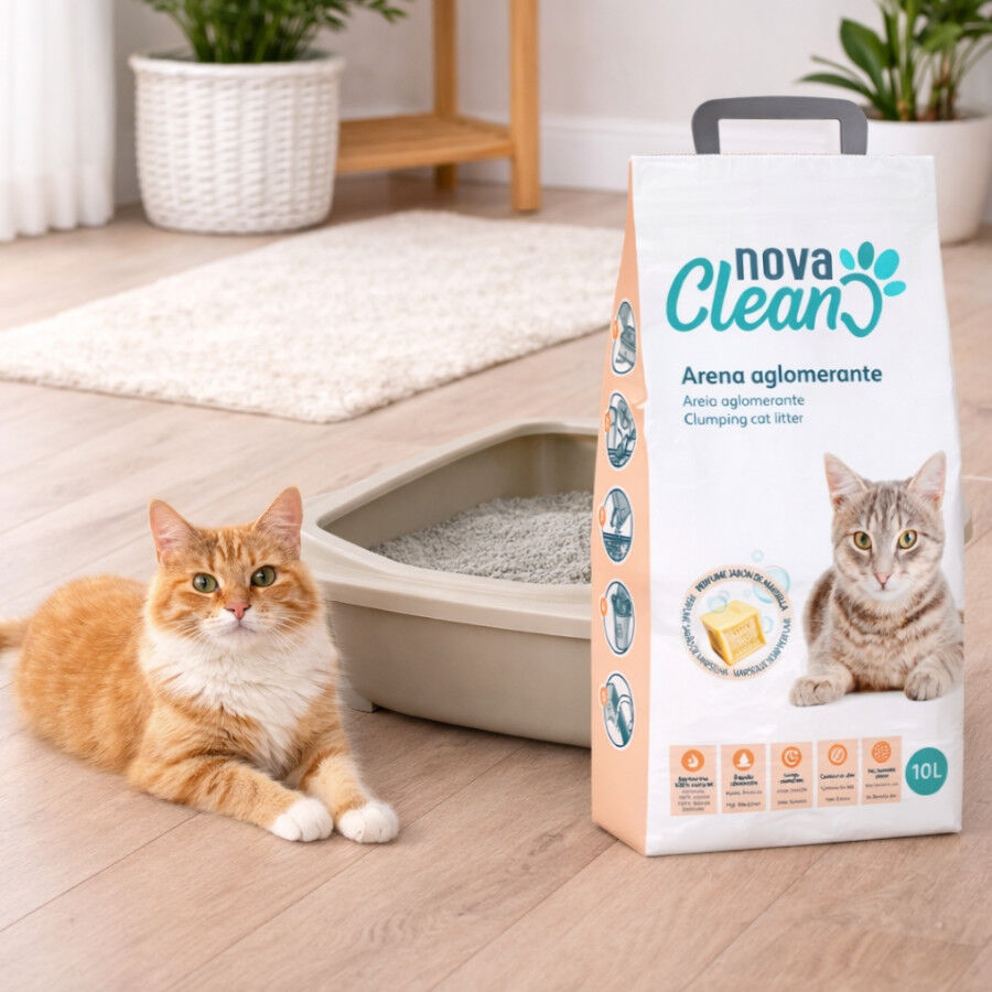 10 L Nova Clean Marselha Areia Aglomerante para gatos, , large Imagem n&uacute;mero 2
