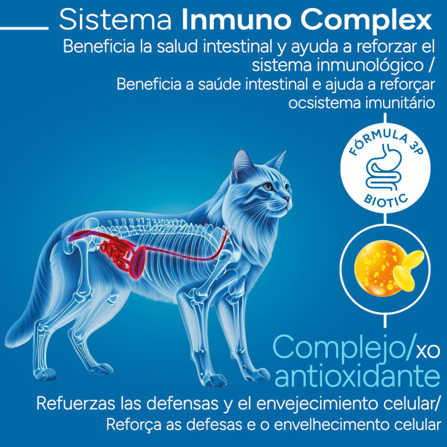 Criadores Cient&iacute;fico Senior +12 Ra&ccedil;&atilde;o de peixe para gatos, , large Imagem n&uacute;mero 3