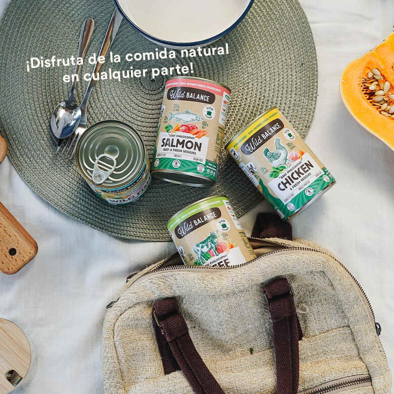 400 g Wild Balance BARF de Salmão e Vitela em lata para cães ,  Imagem número 5 400 g Wild Balance BARF de Salmão e Vitela em lata para cães , , large Imagem número 5