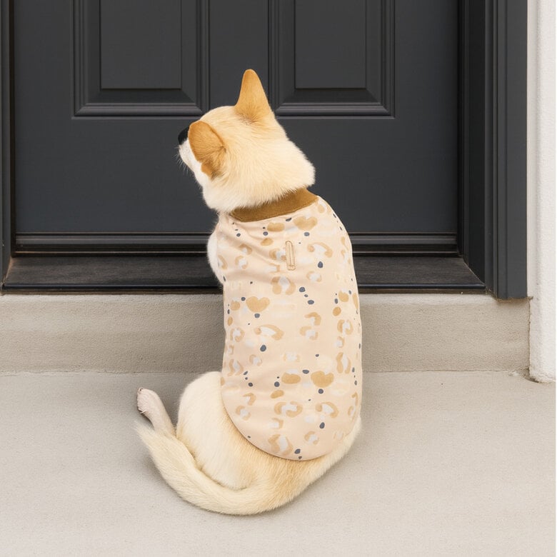Outech Camisola Leopardo para cães,  Imagem número 1 Outech Camisola Leopardo para cães, , large Imagem número 1