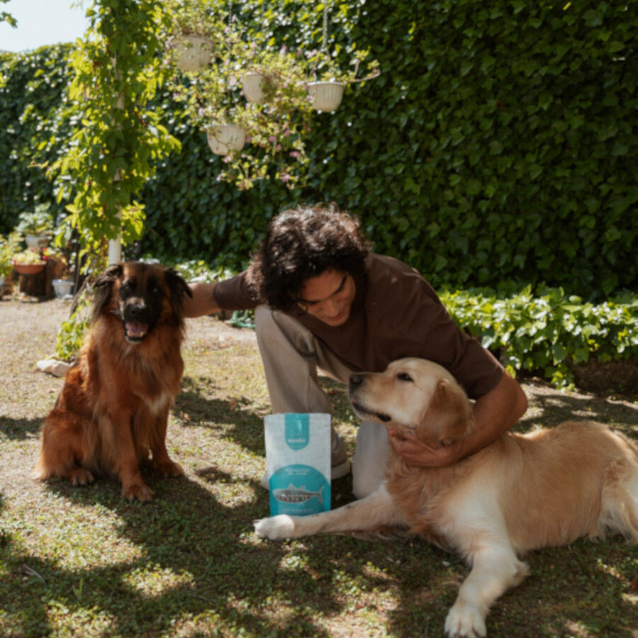 80 g Natuka Bites Atum Petisco Natural para c&atilde;es e gatos, , large Imagem n&uacute;mero 2