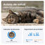 Tractive Cat Mini Rastreador GPS Marrom para Gatos, , large Indicador imagem número 7