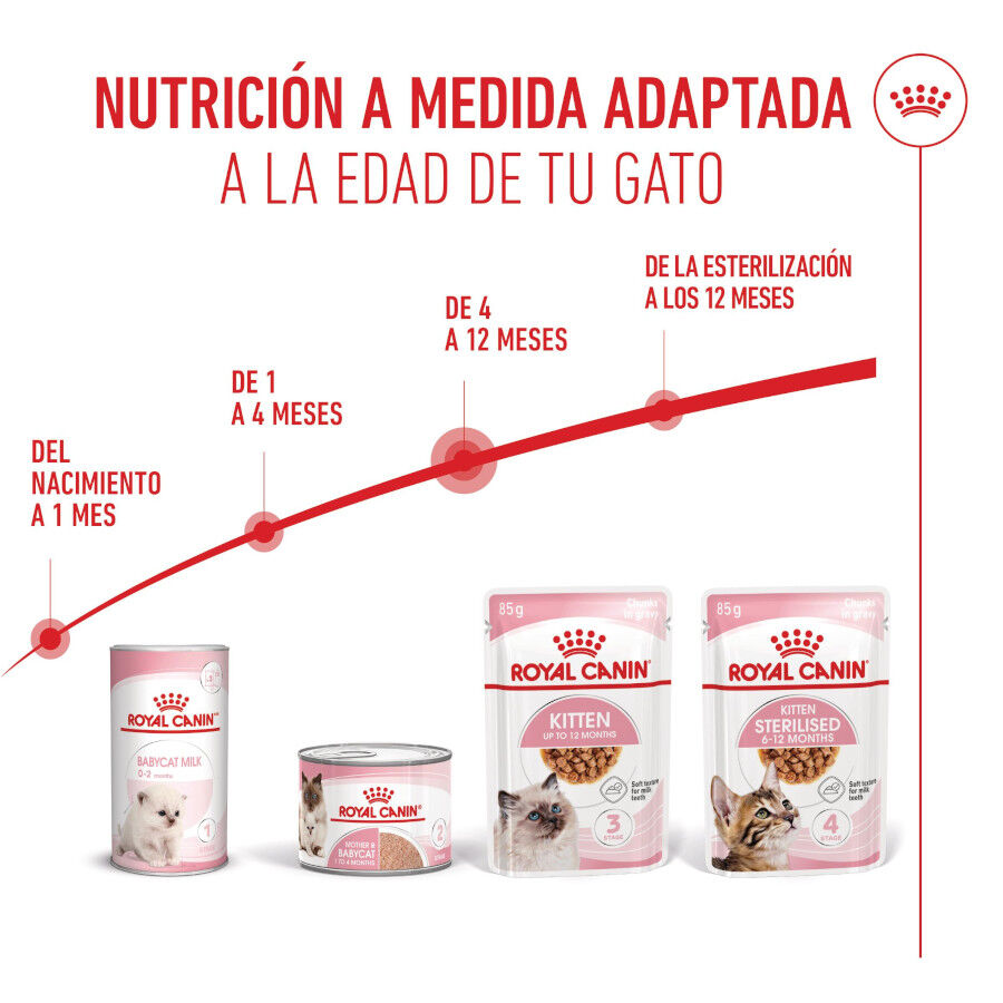 85 g Royal Canin Kitten Alimento H&uacute;mido para gatinhos, , large Imagem n&uacute;mero 6