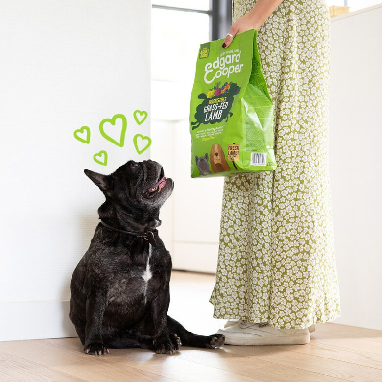 12 kg Edgard & Cooper Adult Borrego ração para cães,  Imagem número 3 12 kg Edgard & Cooper Adult Borrego ração para cães, , large Imagem número 3