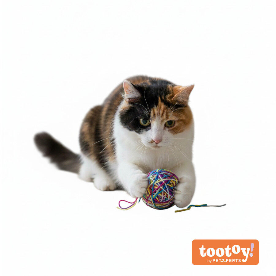 Tootoy! Chase & Play Bola de l&atilde; para gatos, , large Imagem n&uacute;mero 9