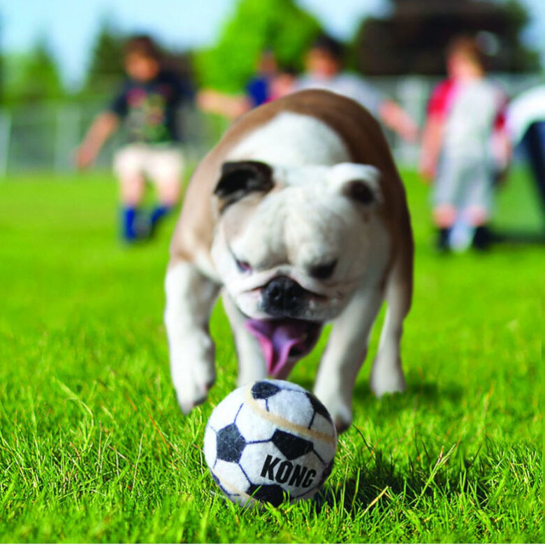 Kong Sport kit de bolas para cães,  Imagem número 2 Kong Sport kit de bolas para cães, , large Imagem número 2